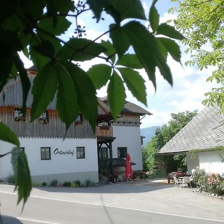 Ortnerhof Ennstal Bed & Breakfast Aigen im Ennstal Exterior photo